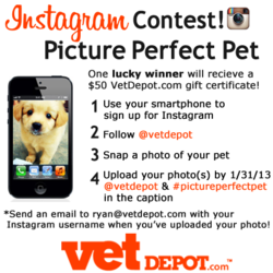 VetDepot.com picture perfect pet instagram contest